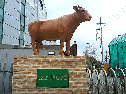 도드람엘피씨공사 이미지