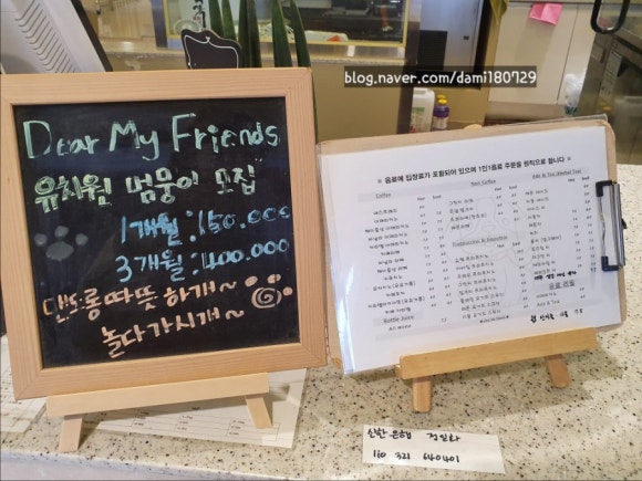 뷰티다미네 이미지