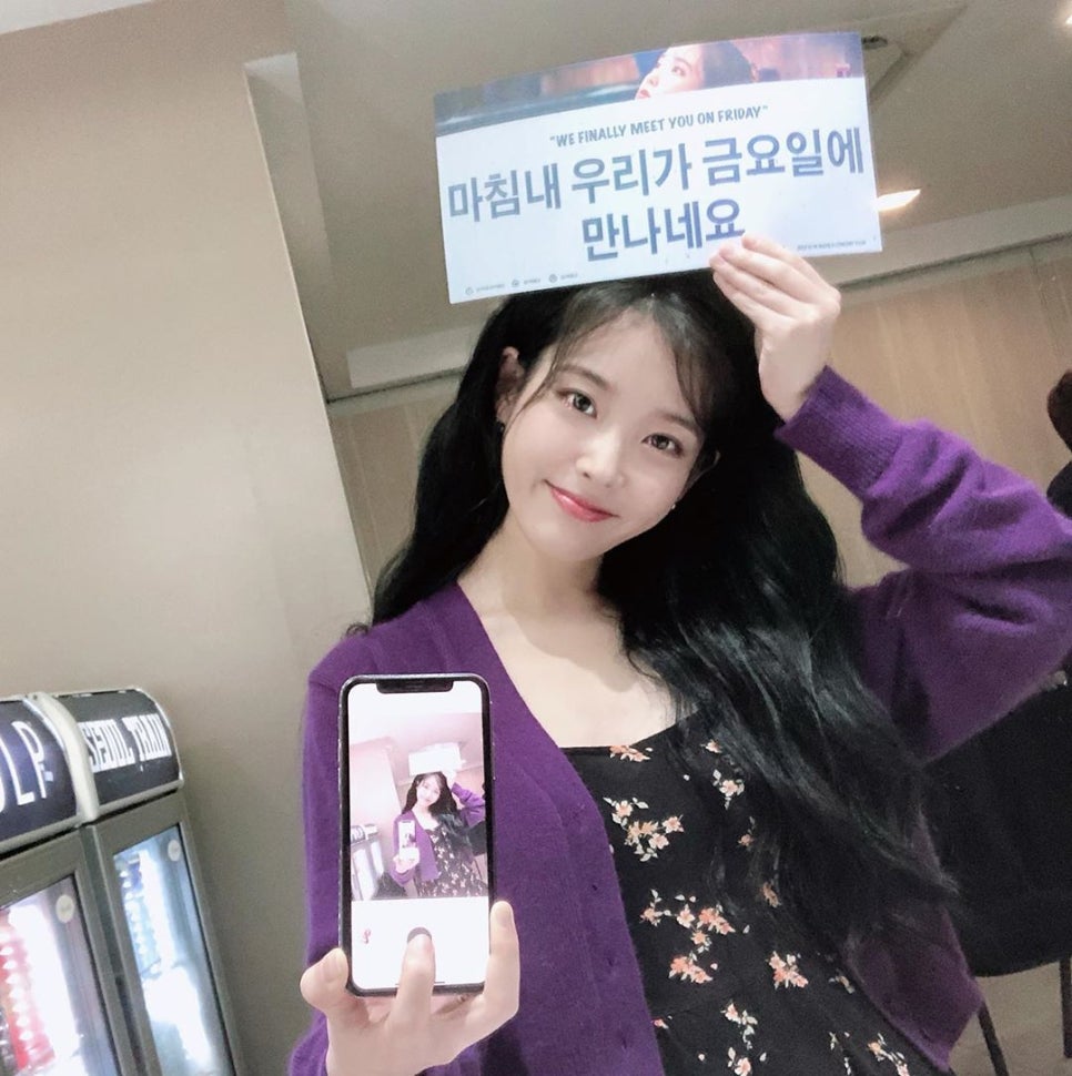 라벤더블룸 이미지