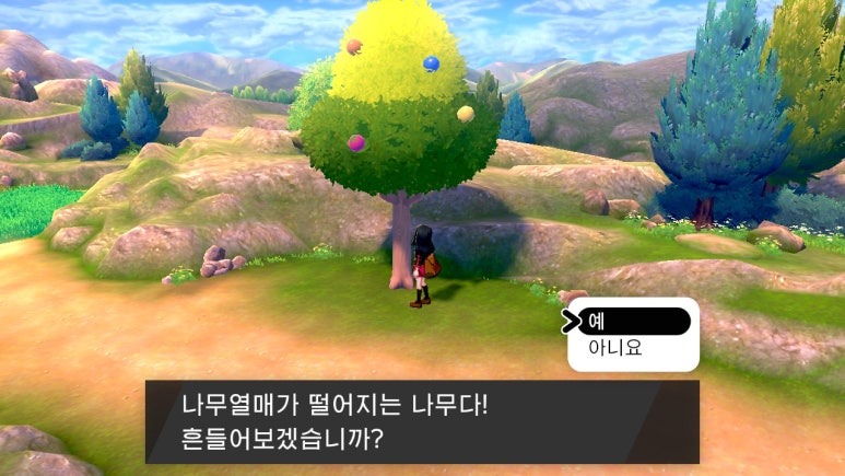 포켓몬스터 소드 실드 공략 : 나무 열매 종류 위치 : 네이버 블로그