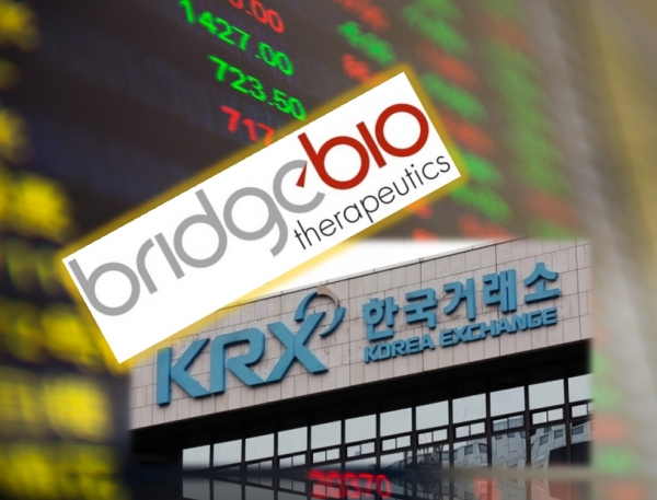 브릿지 유한회사 이미지