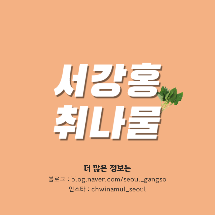 (주)디노마드 이미지