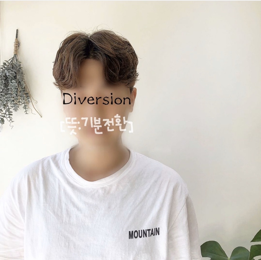 디벌션(Diversion) 이미지