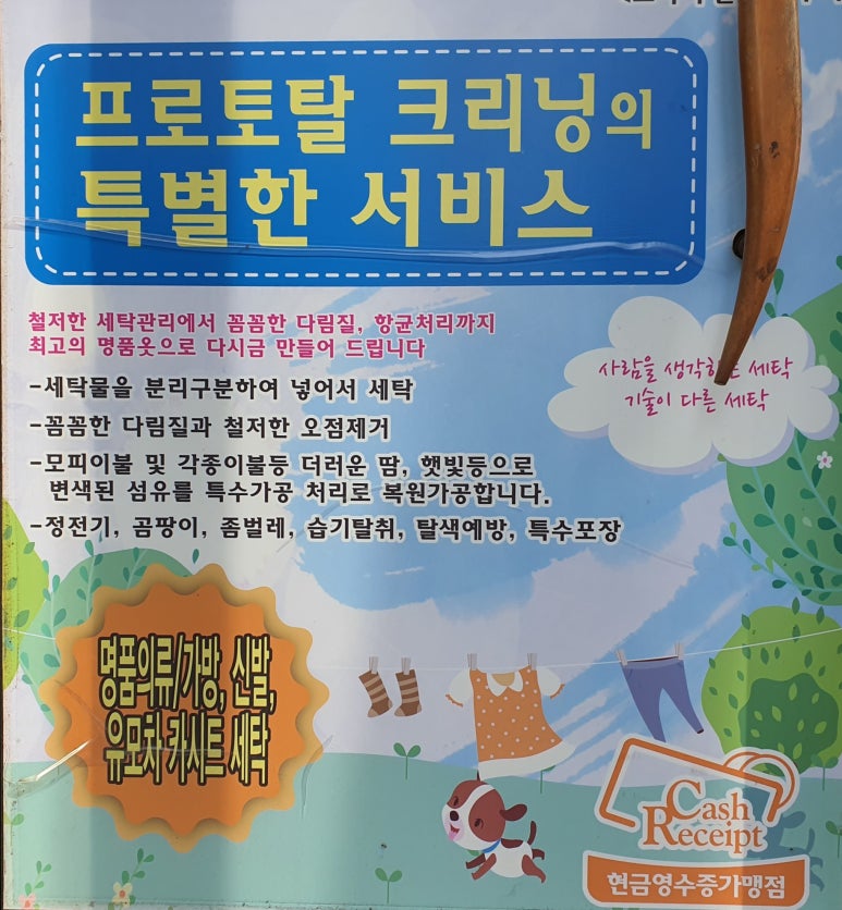 프로토탈크리닝 이미지