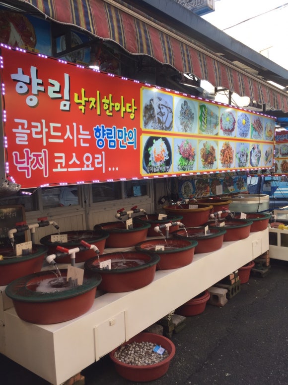 향림횟집 이미지