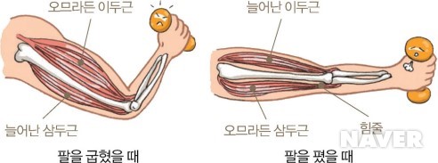 스마트에듀케이션학원 이미지