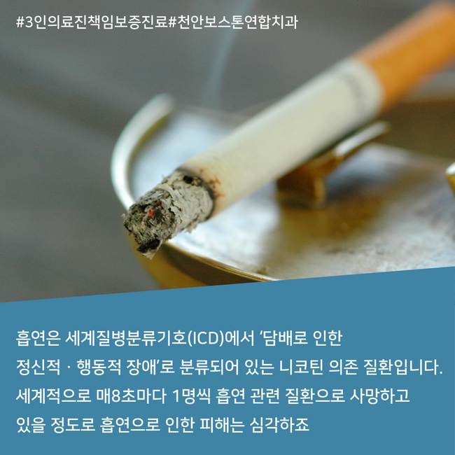 보스톤연합치과의원 이미지