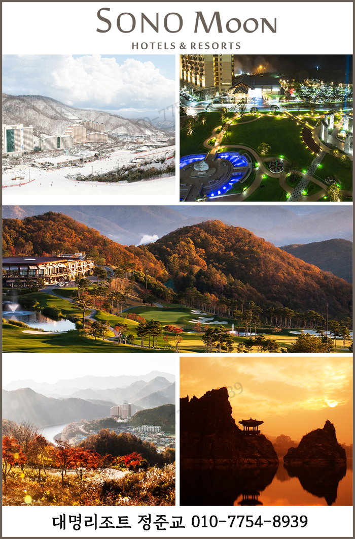 세무법인대명 이미지