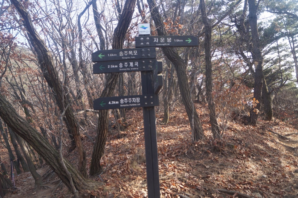 마운트립 이미지
