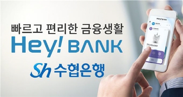 헤이코리아 이미지