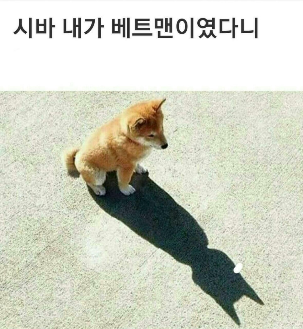 장대감 이미지
