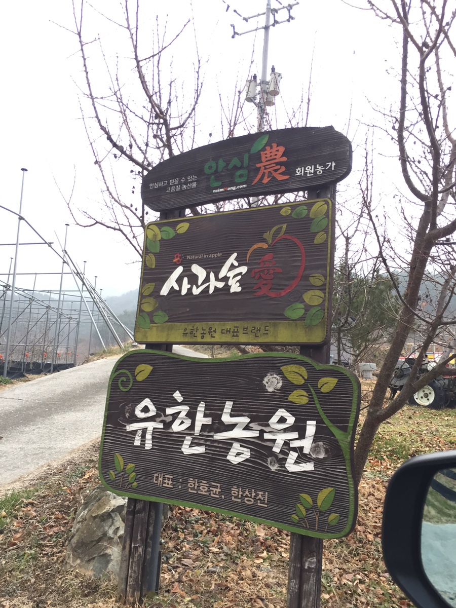 숲애아이 이미지
