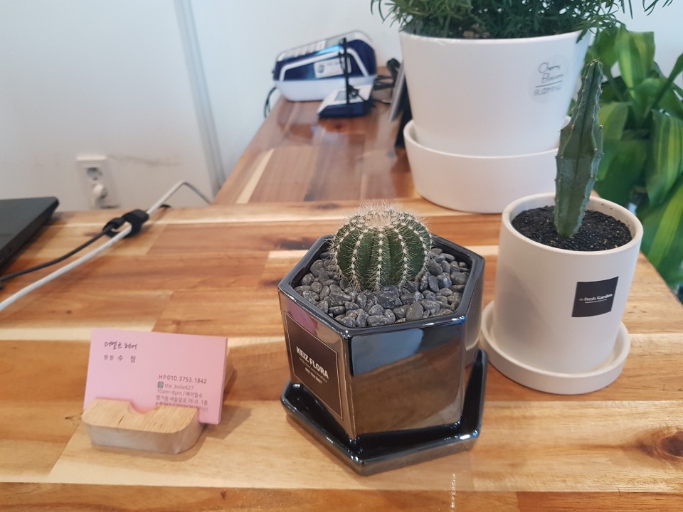 더벨르 이미지