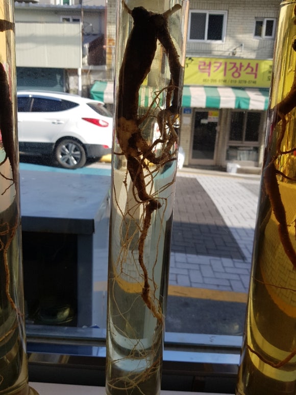 본미가 이미지