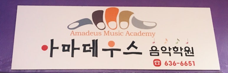아마데우스음악학원 이미지