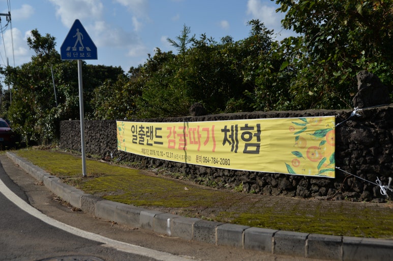 탐라흑돈정육식당 이미지