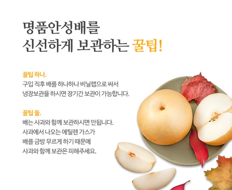 해들향 이미지