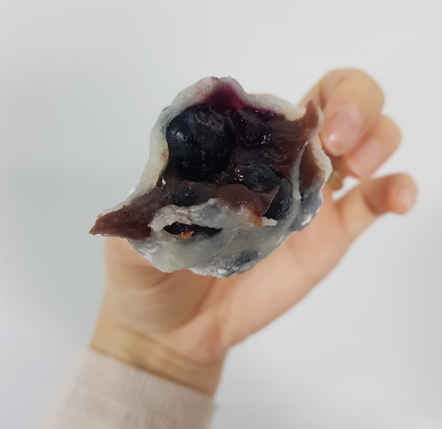 모찌의숲 이미지