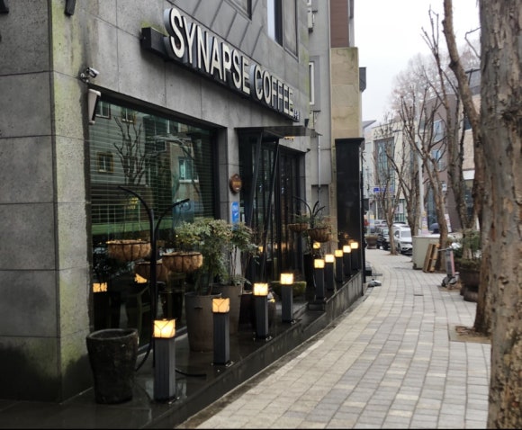시냅스커피 이미지