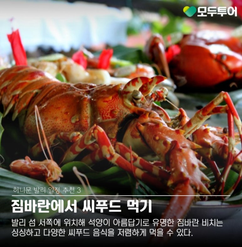 즐거운 여행사 이미지