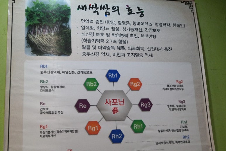 신진쌈밥 이미지