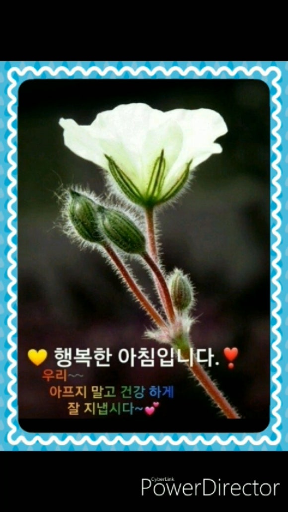 스마트폰세상 이미지