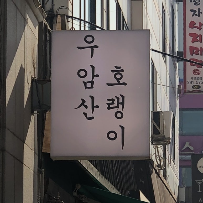 우암산호랭이 이미지