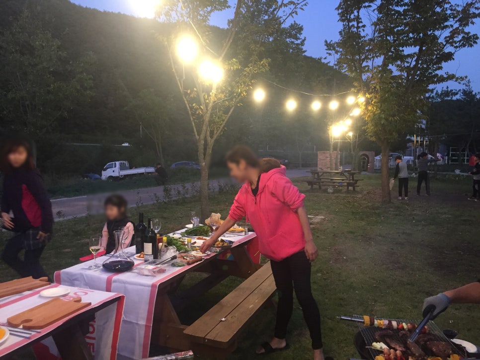 강변사리 이미지