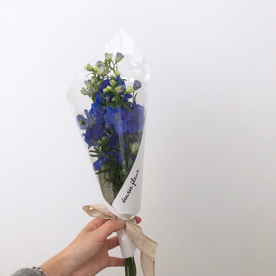 디어리플레르 이미지