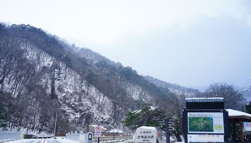 불가마구내식당 이미지