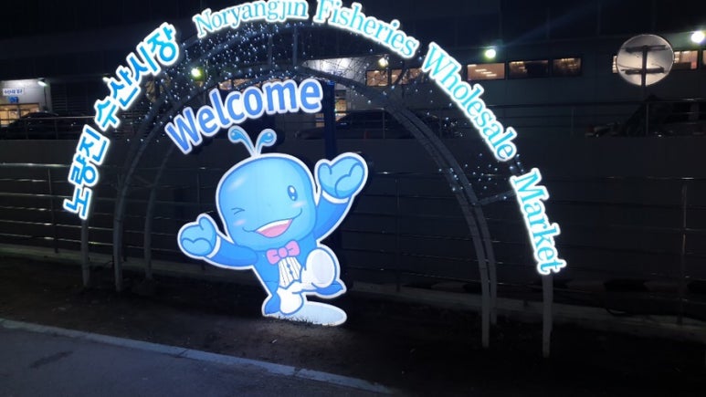 둘리수산 이미지