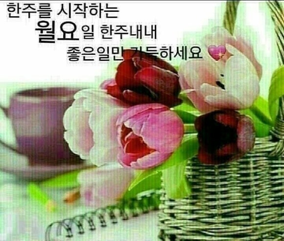 그루터기 이미지