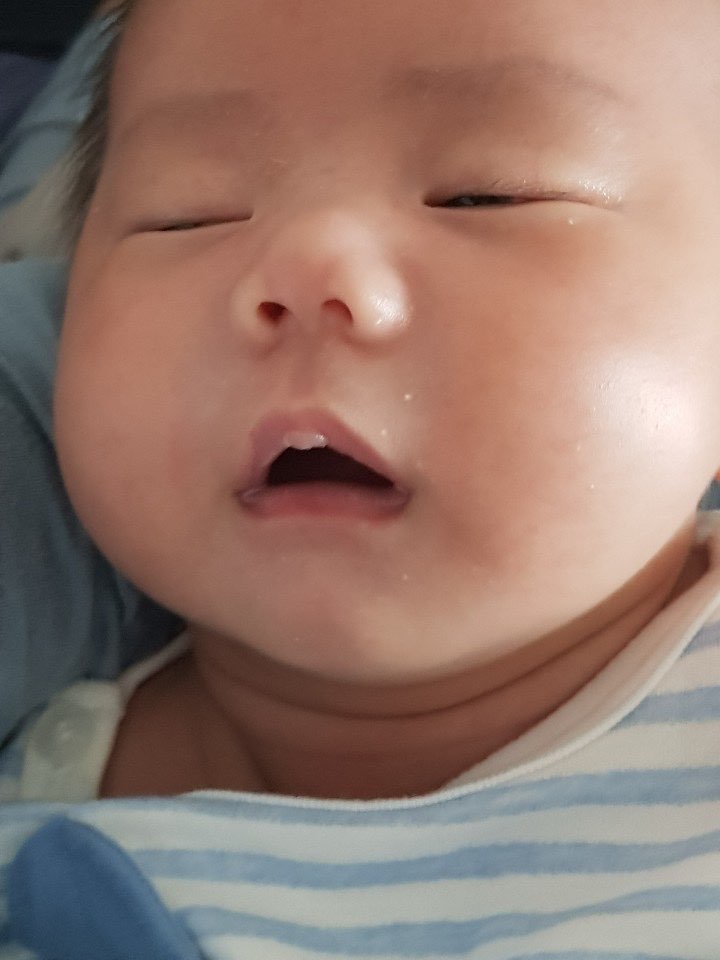 율이파파 이미지