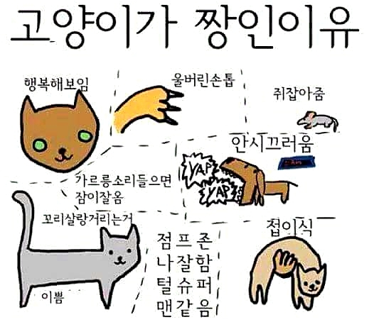 카페라끄 이미지