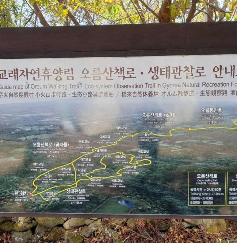 교래자연휴양림 이미지
