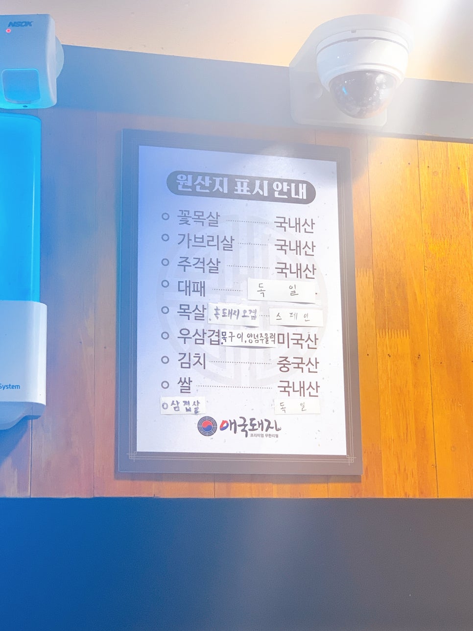 애국돼지 이미지