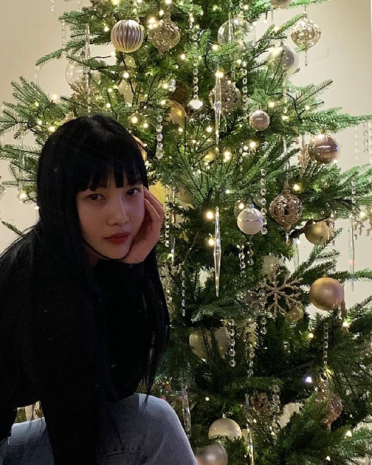 조이트리 이미지