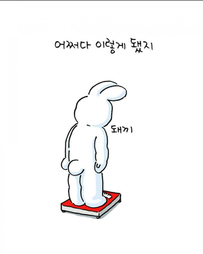 퐁닭 이미지