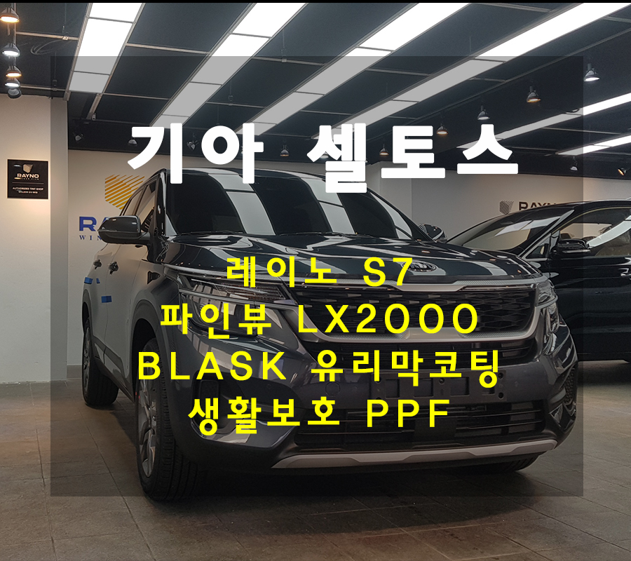 오토스타일레이노 이미지