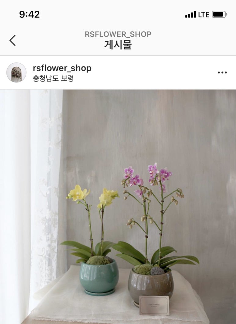 커퍼스초이스 이미지