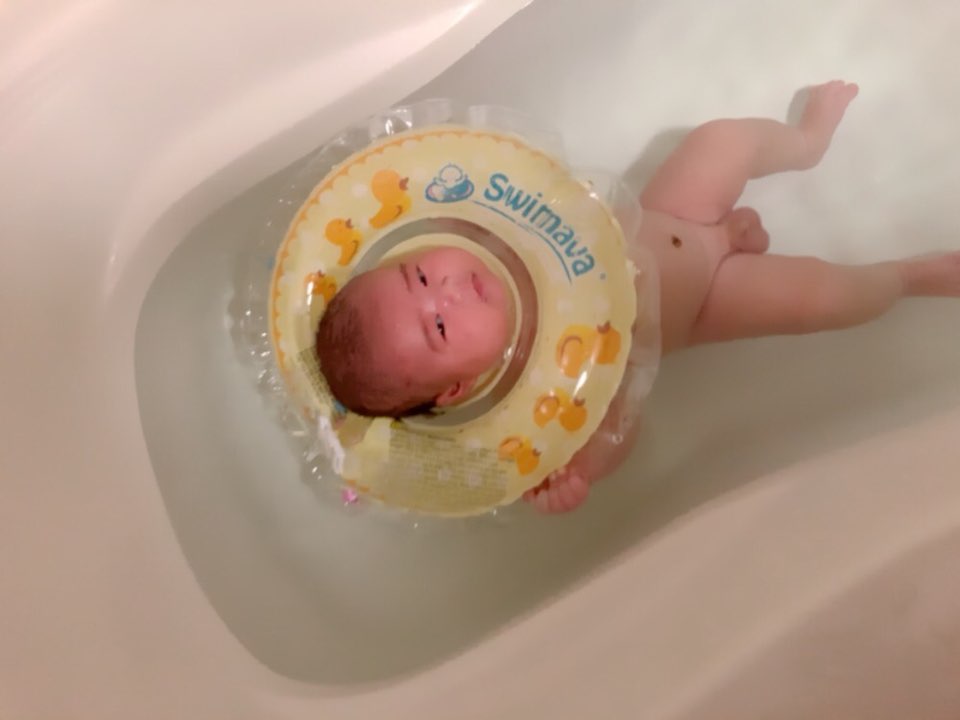 율이파파 이미지