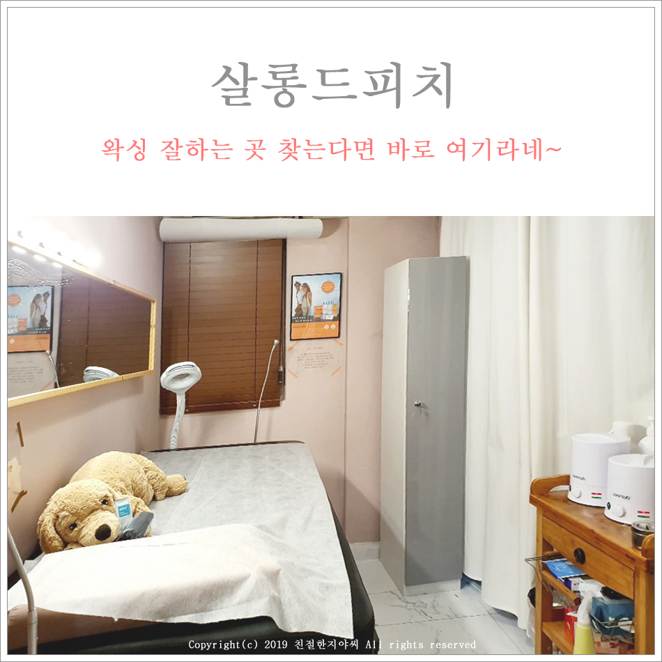살롱 드 피치 이미지