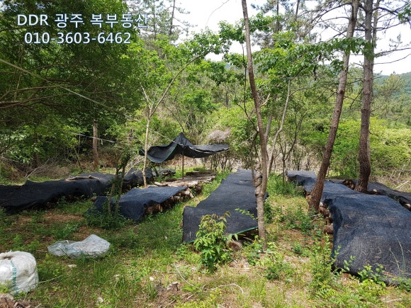 산방농장 이미지