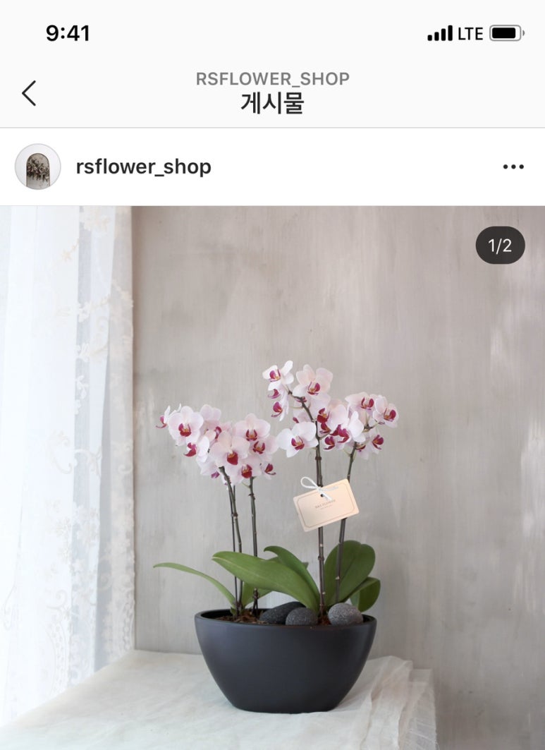 커퍼스초이스 이미지