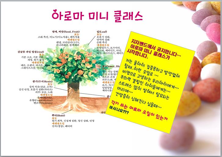 일랑일랑아로마카페 이미지