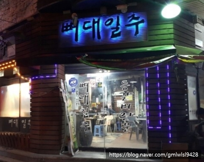 뼈대일주 이미지