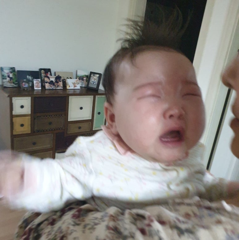 한바탕 이미지