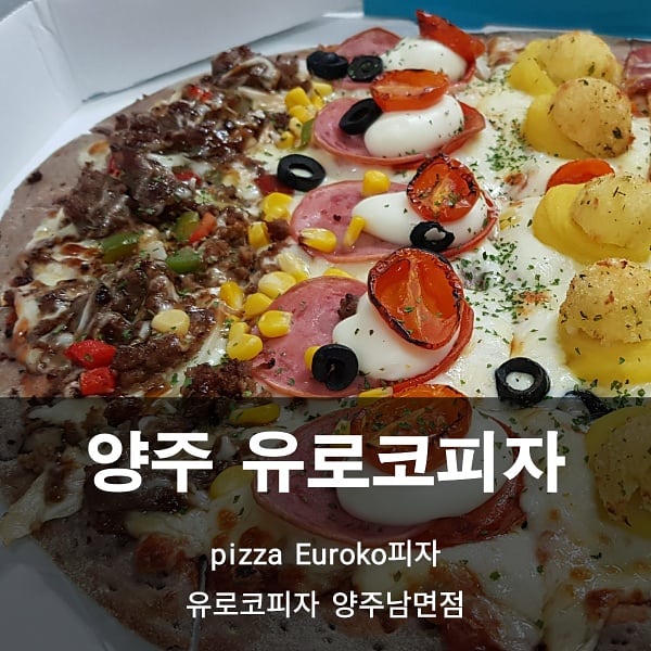 유로코피자 양주남면점 이미지