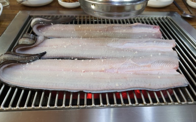 섬진강명품민물장어 이미지