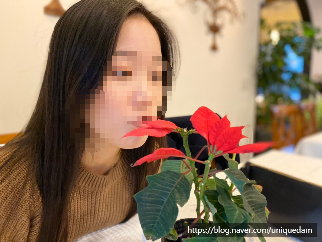 한스플로라 이미지